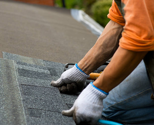 Best Storm Damage Roof Repair  in Bellevue, OH