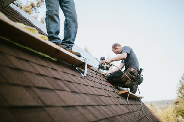 Best Roof Leak Repair  in Bellevue, OH
