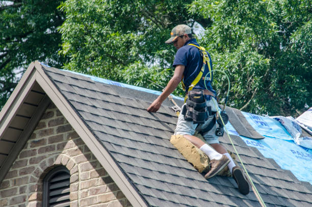 Best Roof Maintenance Services  in Bellevue, OH